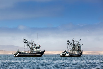 fishing boats in bay