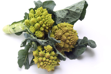 Romanesco broccoli or Roman cauliflower on white