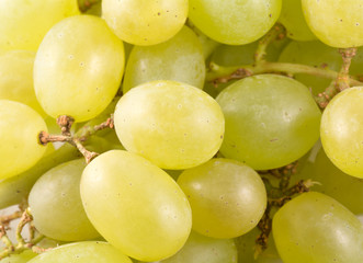 Seedless grapes in macro