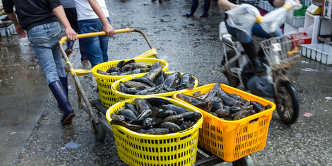 Obraz premium Fish market in Guangzhou, China
