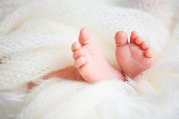 foot leg newborn baby
