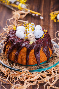 Easter cake with chocolate decorated with colored quail eggs and Mimosa.selective focus.