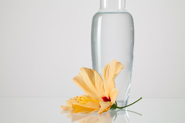 The vase with clean water and hibiskus flower © Radomir Rezny