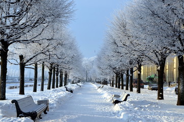 Winter in St. Petersburg, Russia. Snow-covered alley