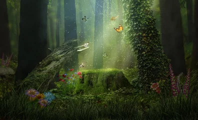 Rolgordijnen Fantasielichtjes in het bos © susanafh