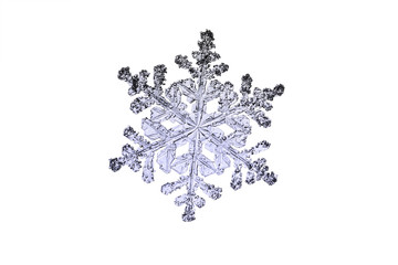 real natural flake, snowflake macro isolated on white background