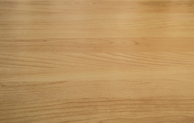 Background texture of beech