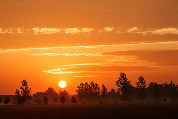 Fototapeta na wymiar Sun sunset natural scene at dusk