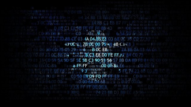 virus bug in program code. The concept of an infected program