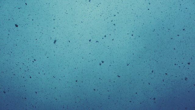 Snowfall. Snowy winter day. Many snowflakes on a blue mist background. Snowfall background. Snow whirl.