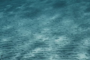 Abwaschbare Fototapete Meeresboden unter Wasser © aniphaes