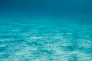 Zelfklevend Fotobehang Ocean Floor underwater © aniphaes