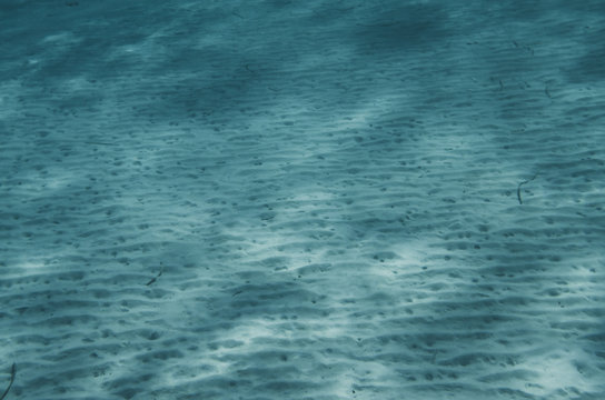 Ocean Floor Underwater