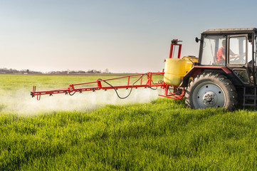 Tractor spraying wheat field