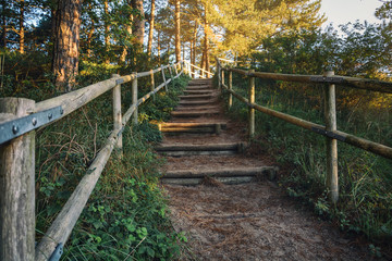 Fototapeta premium going up stairs