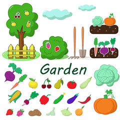 Garden with fruits and vegetables
