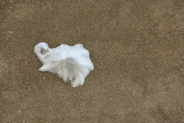 Snow on concrete wall