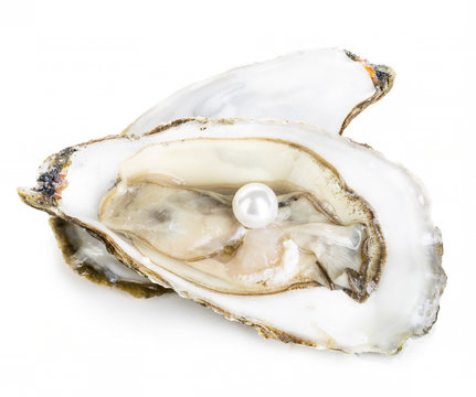 Oyster with pearl close-up isolated on a white background.