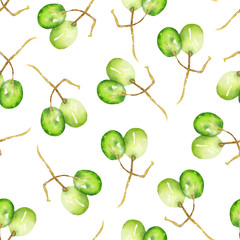 A seamless pattern with the hand-drawn green grapes. Painted in a watercolor on a white background.