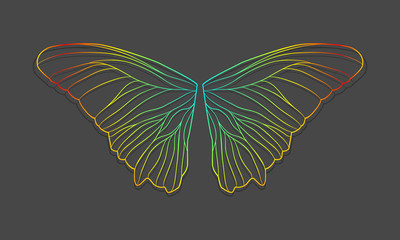 Vector butterfly wings