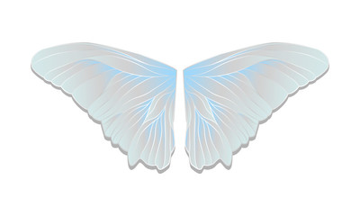 Vector butterfly wings
