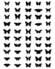 Black silhouettes of butterflies, vector