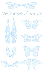 Vector wings set