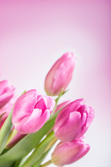 Fototapeta premium Happy easter. Multicolored spring tulips and Easter eggs. Spring and Easter decorations.