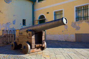 Ancient cannons