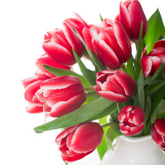 Bouquet of pink tulips in vase on the white background