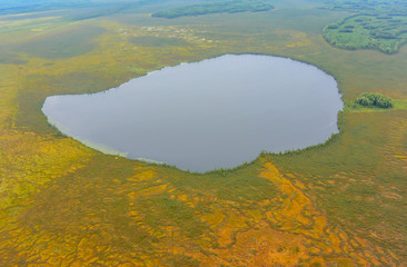 The lakes and swamps of Western Siberia