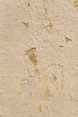 texture painted cement wall sunny summer day