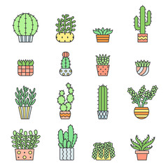 Succulents and cacti outline multicolored vector icons set. Modern minimalistic design.
