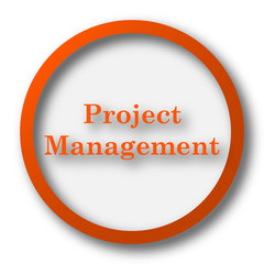 Project management icon