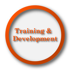 Training and development icon
