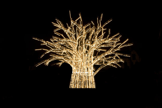 Tree of light with braches on a black background