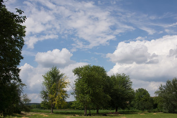 Fototapeta na wymiar View on Hungarian landscape in the province of Somogy with a blue sky with clouds.