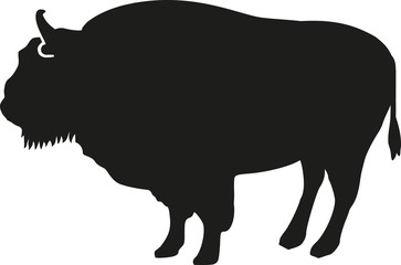 Bison silhouette