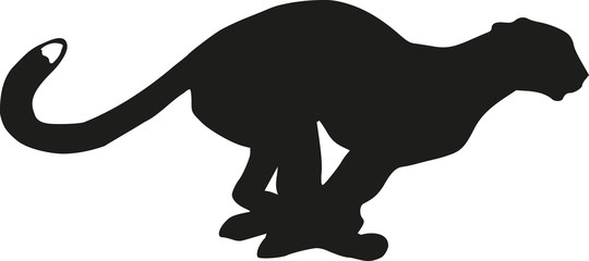 Running leopard silhouette © Miceking