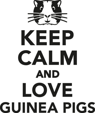 Keep calm and love guinea pigs