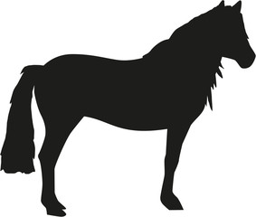 Haflinger horses silhouette