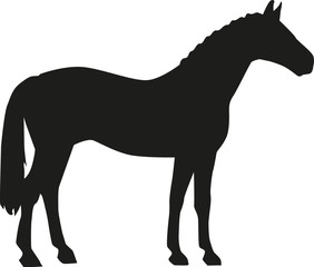 Hanoverian silhouette