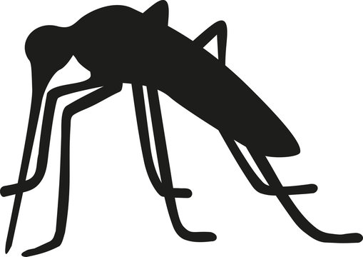 Mosquito Silhouette