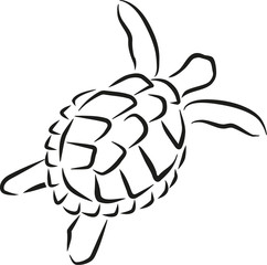Swimming turtle caligraphy style