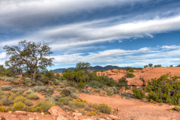 AZ-Grand Canyon National Park-North Rim-Toroweep area.  This image was captured in the early morning hours.