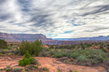 AZ-Grand Canyon National Park-North Rim-Toroweep area. These images were taken around the beautiful Toroweep area, which encompasses a lot more than the Colorado River Canyon.