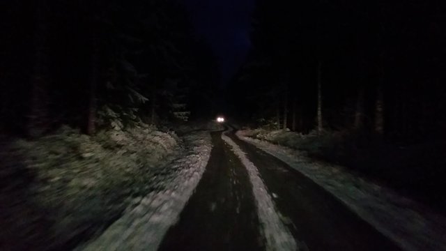 By passing a car in a winter forrest at a dark night, in Raasepori, Uusimaa, Finland