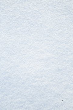Fresh real snow texture background in blue tone