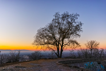 Fototapeta na wymiar Amazing Sunset over lonely tree, Dzhendem tepe hill, city of Plovdiv, Bulgaria 