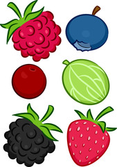 Different Types of Berries